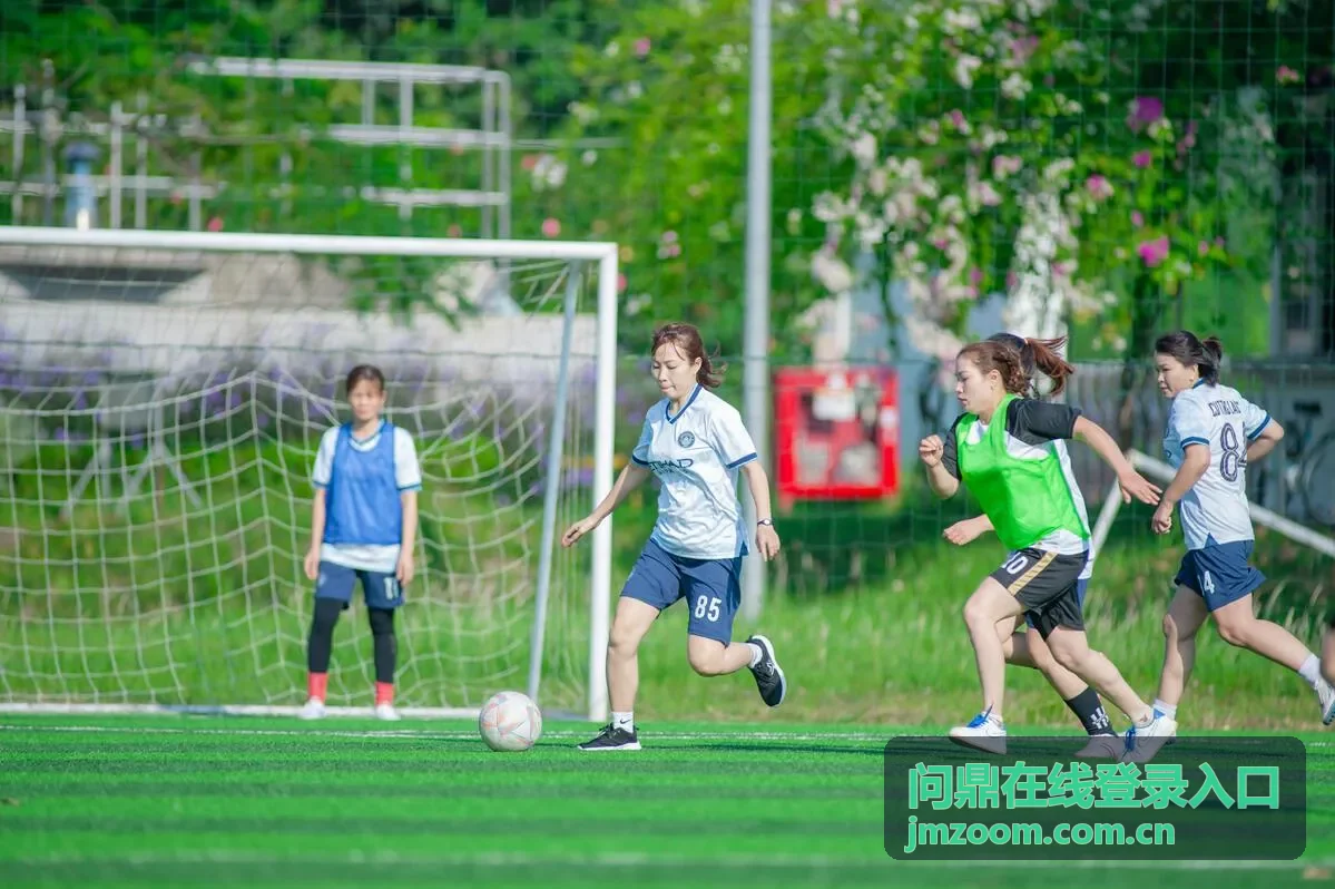 问鼎在线企业服务登录界面